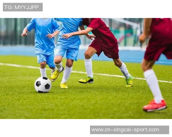 金葡萄足球的崛起与发展探索如何塑造未来足球新格局